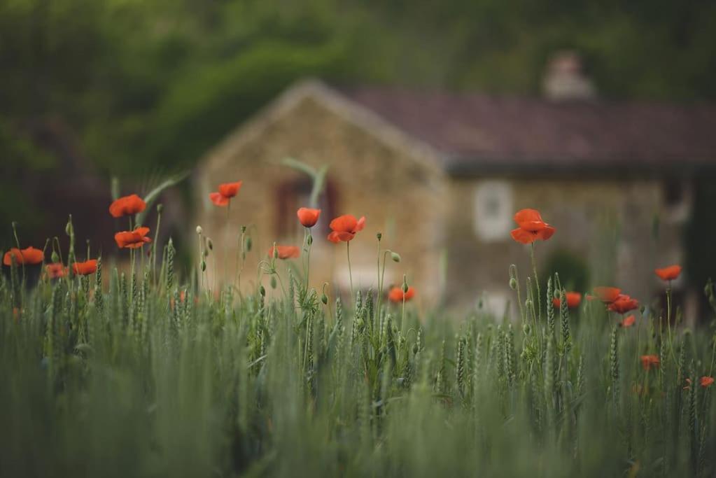 Le Pressoir - Domaine Du Chateau De La Bourlie - Boutique Villa Up To 12 Guests Urval ภายนอก รูปภาพ